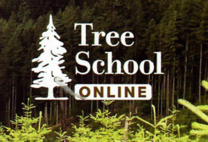 Free Webinars called Tree School Online